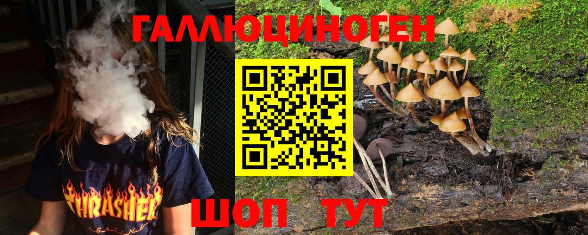 Белорецк  Псилоцибиновые грибы Psilocybe  Вход с VPN 