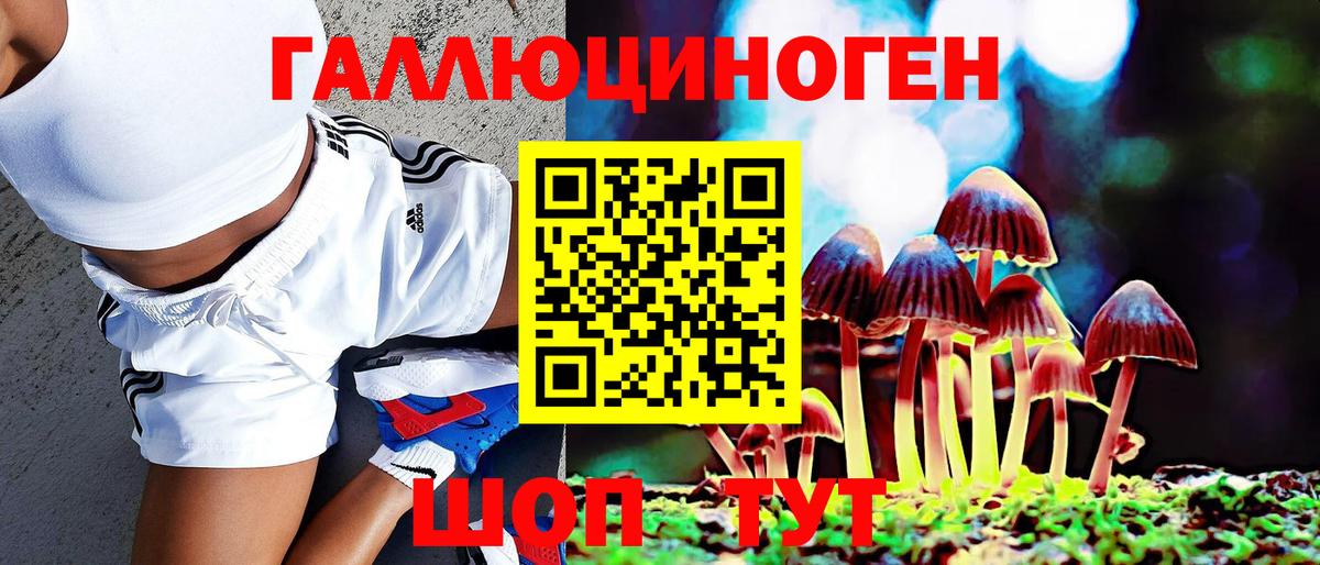 Галлюциногенные грибы мицелий Белорецк